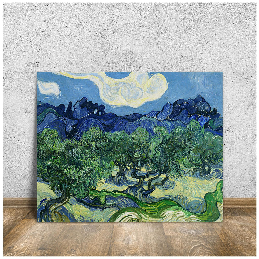 Olive Trees by Vincent Van Gogh, Canvas Print