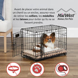 Intermediate LifeStages Single Door 36-Inch Folding Dog Crate, Enhanced Security, Includes Leak-Proof Pan