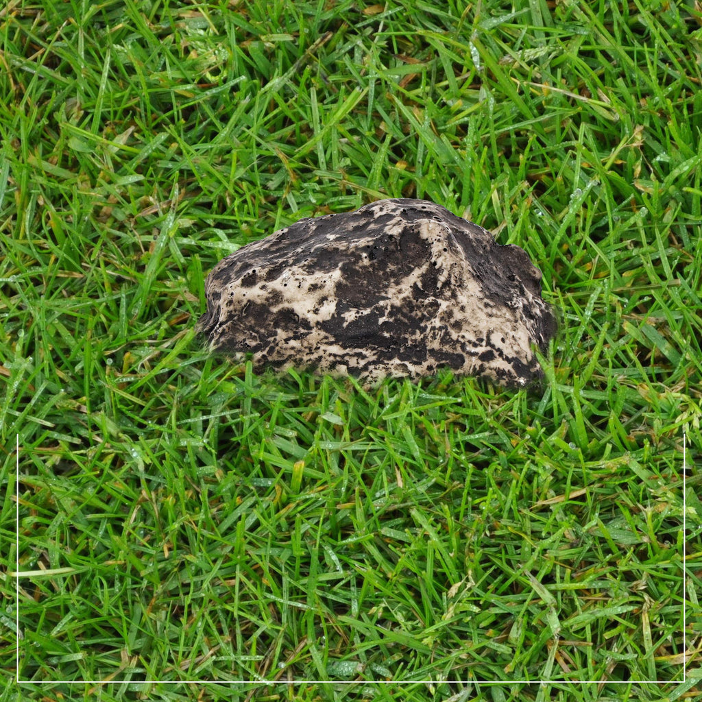 Hide a Key Outside Fake Rock - Looks & Feels like Real Stone - Safe for Outdoor Garden or Yard, Spare Key Storage