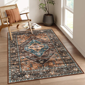 Washable Living Room Area Rug - 3x5 Non-Slip Ultra-Thin Rugs for Entryway, Throw Small Stain Resista