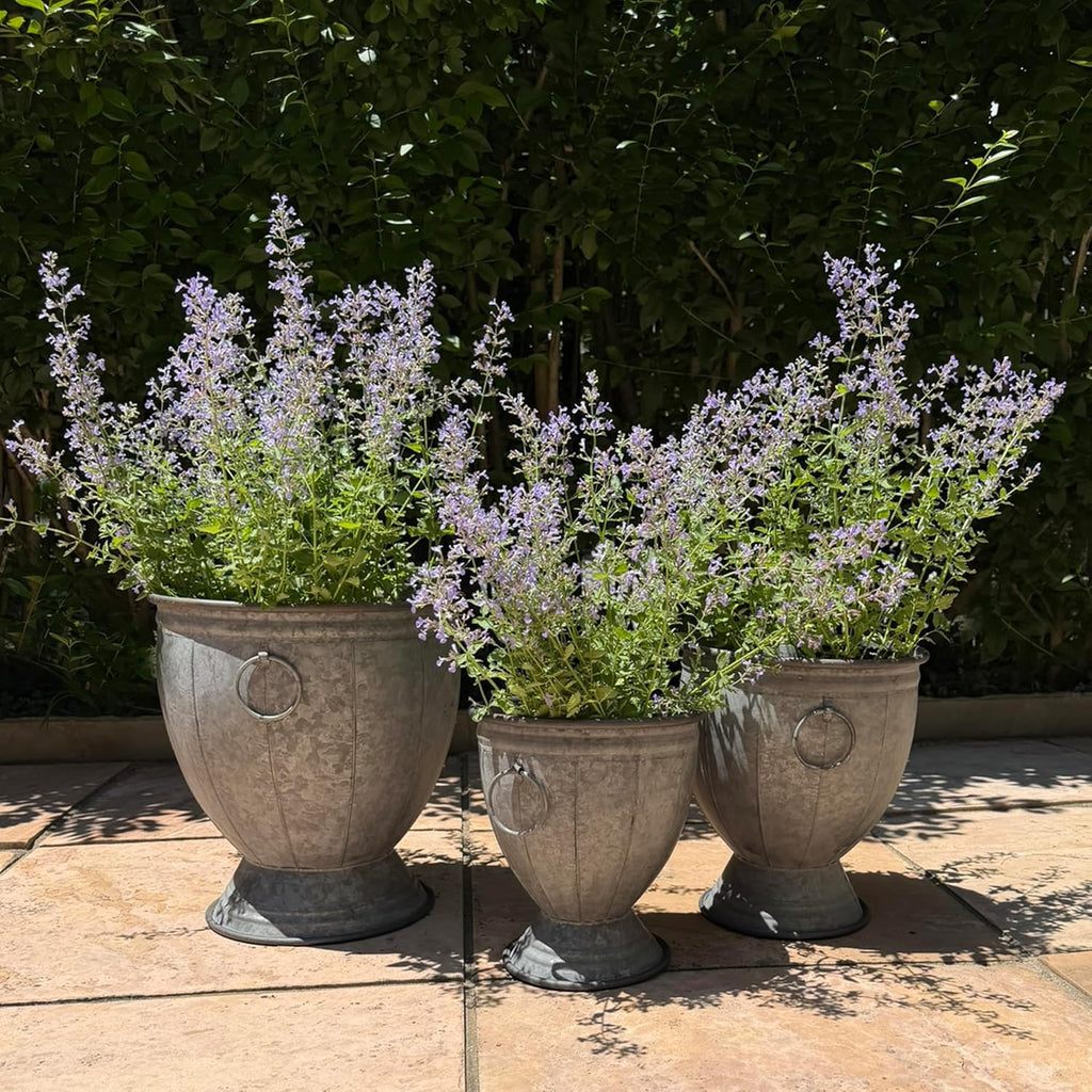 Durham Footed Urn Chubby Belly Planters, Set of 3, Ring Handles, Galvanized Metal, Vintage Grey, Indoor/Outdoor