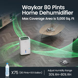 Max 80 Pint/D(Standard 62Pint/D) Energy Star Home Dehumidifier for Spaces up to 5,000 Sq. Ft, Ideal for Basement