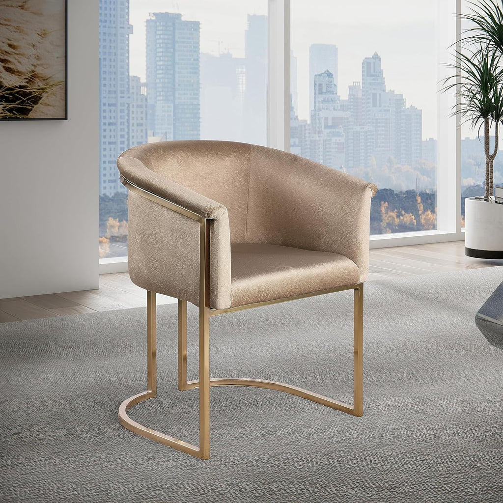 Meridian Furniture 758Beige-C Tierra Collection Modern | Contemporary Upholstered Dining Chair with Luxurious Beige