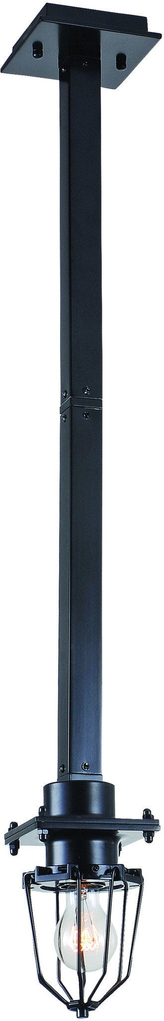 ZC121-1451D5BK By Regency Lighting - Kingston Collection Black Finish 1 Light Pendant Lamp
